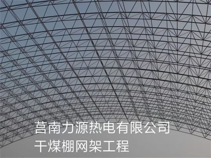 苏州力源热电有限公司干煤棚网架工程